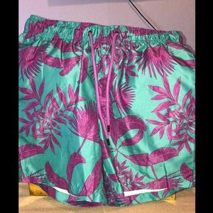 Ike Behar Men’s Bathingsuit